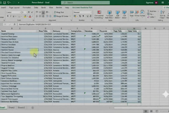 clean your excel sheets data