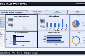 build a professional shopify sales dashboard and reporting