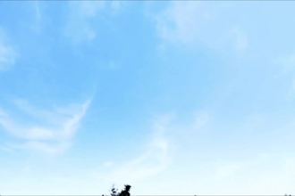 aesthetic plant and nature photography