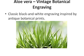 deliver scientific ipm solutions and plant disease research