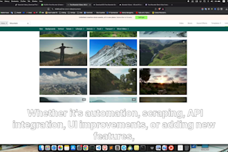 create custom chrome extension, firefox extension and web automation tool