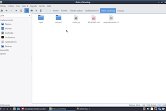 merge and clean your excel and CSV files with python
