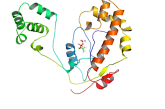 do molecular docking amdet and molecular dynamics simulation