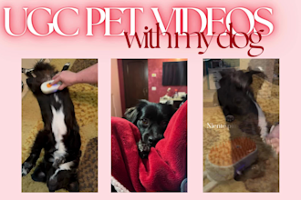 create premium ugc pet videos featuring my dog