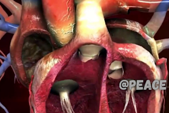 3d dental explainer, oral surgery, anatomy medical and medical animation