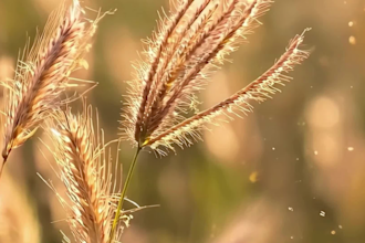 create music meditation relaxation video for youtube