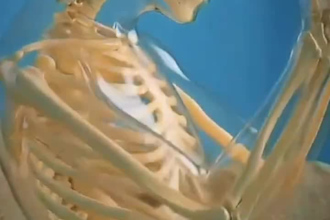 create viral ai skeleton videos for youtube automation