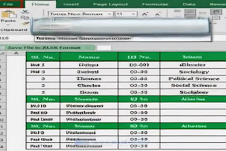 convert data in excel file in proper formats