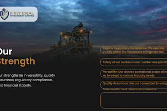 design a professional company profile and portfolio, logo and brand identity