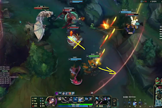 do coaching for you in league of legends adc and support