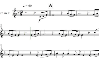 compose, arrange, transcribe and ochestrate any musical work professionally