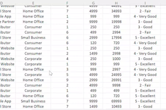 expert excel data cleaning, formatting, and large dataset management