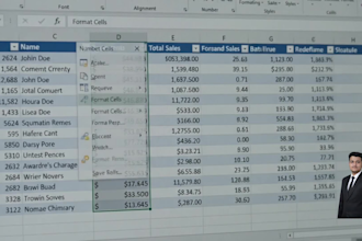 microsoft excel data entry, data cleaning, formatting and PDF to excel