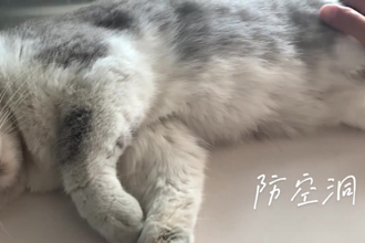 record a warm and emotional chinese mandarin voice over