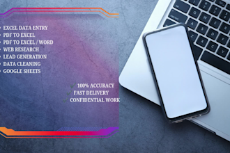 do data entry, web research, PDF to excel, excel data entry