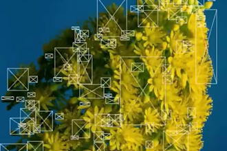 create immersive touchdesigning tooling consultation scripts workflow solutions