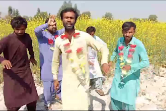 wish happy birthday video africa or happy birthday video