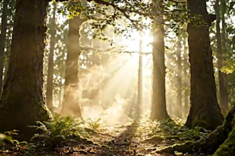 compose relaxing music, meditation, piano, ambient music, binaural beats