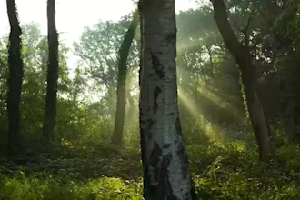 design 3d game environment game level design in unreal engine or unity
