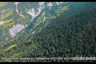 transcribe audio and video and create accurate srt subtitles