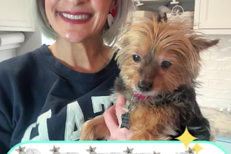 create ugc pet videos with my adorable senior yorkie pup