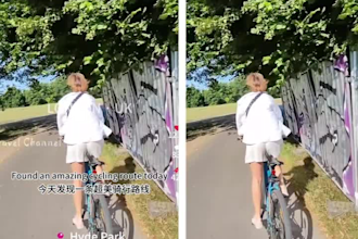 remove subtitles captions and unwanted text from video