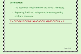 format, design, edit, create, and fix  word documents