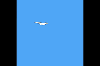 do 2d music video, 2d animation video, cartoon and anime style animation