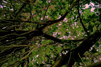 professionally edit cinematic reels and videos
