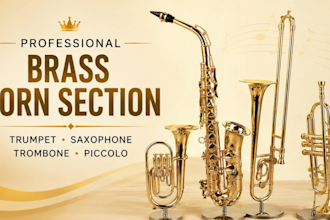 record pro brass horn section trumpet, saxophone, trombone and piccolo