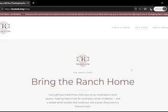 build a website with an automated sales system