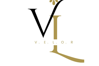 je vais créer des logo luxe et propre