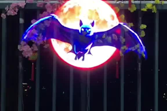 create 3d halloween hologram animation, spooky vj loops and effects