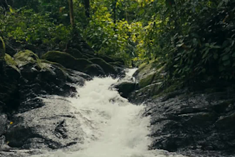 create guided meditation videos or audio with mindful render
