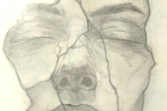 draw realistic pencil sketch or anatomy drawing