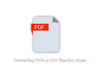 professional microsoft excel data cleaning and formatting