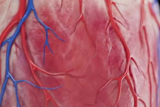 do forensic medical cgi animation legal exhibit injury reconstruction