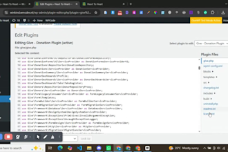 be your wordpress virtual assistant or wordpress VA for daily tasks