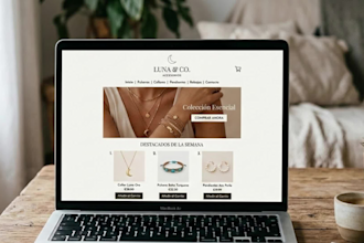simple and professional website