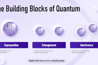 design clean infographics for your data