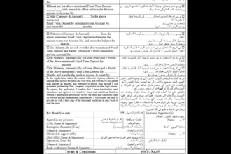 do data entry in english, arabic typing, formatting services