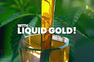 design cannabis marijuana weed promo videos or ad graphics