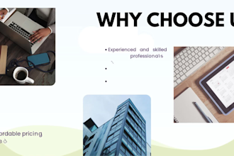 do accurate data entry and professional PPT presentations