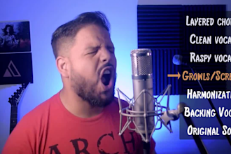 perform  as your professional male metal, rock opera, and gothic vocalist