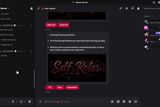 create a professional discord server setup