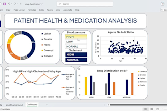 design an interactive excel dashboard and data visualization