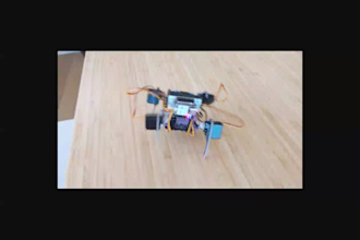 develop quadruped fluffbug with embedded firmware and motion control