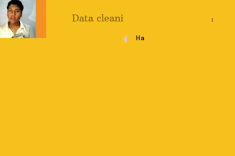 do data entry data cleaning excel data cleansing