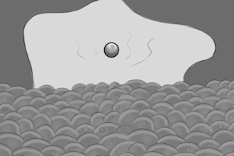 create storyboards animatics for your 2d animation