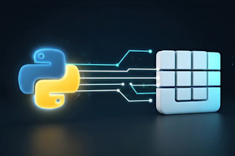 do expert python web scraping with playwright